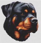 (image for) Rottweiler Alert